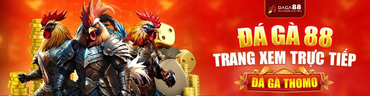 Đá gà trực tuyến kịch tính tại 678win nhà cái