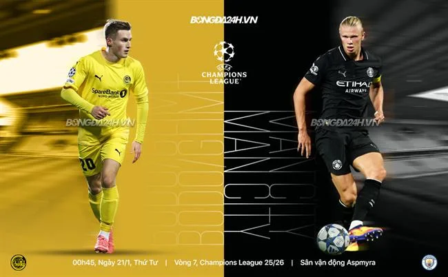 Đá gà Thomo trực tiếp tại 678win nhà cái